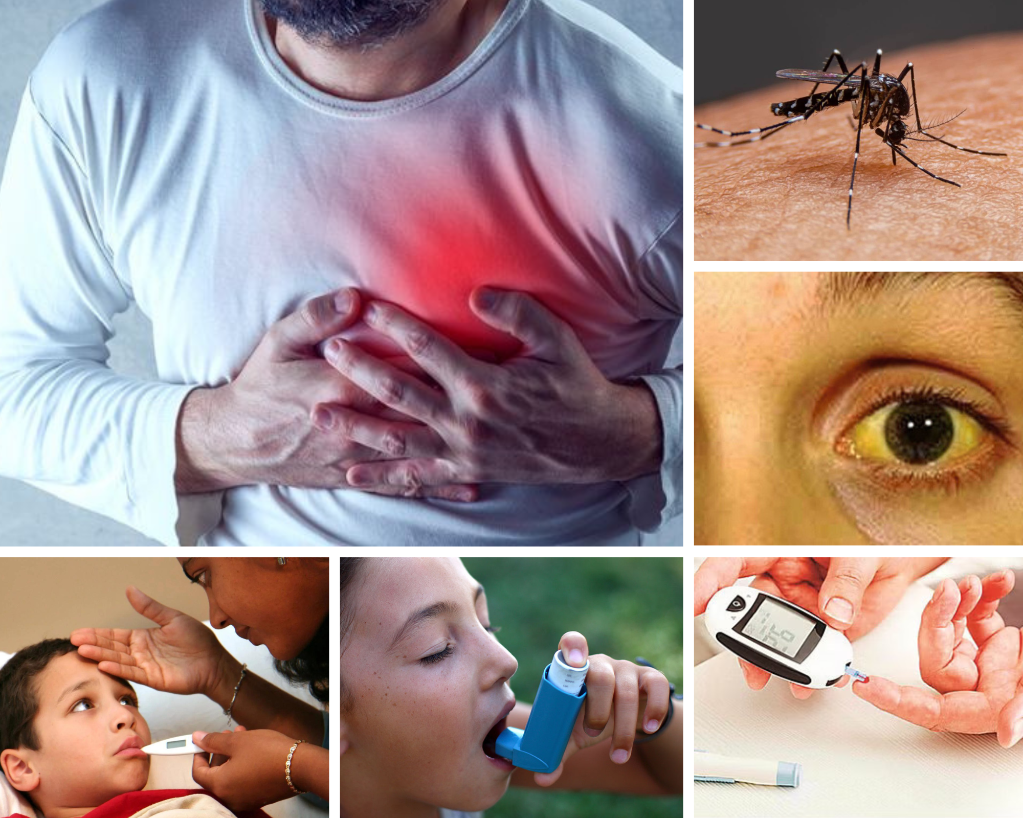 dengue typhoid cardiologist diabetes